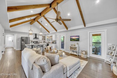 Cathedral Ceiling and open floorplan