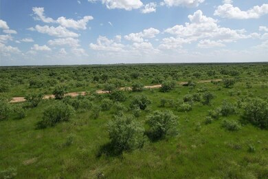 Tbd Cr 483, Hawley, TX 79525 - photo 3