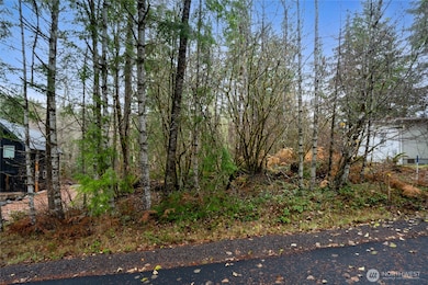 318 Paradise Dr, Eatonville, WA 98328 - photo 4