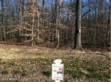 0 Dulin Clark Rd unit 1003884866, Centreville, MD 21617 - photo 5