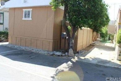 House and shed are shaded by a large orange tree.