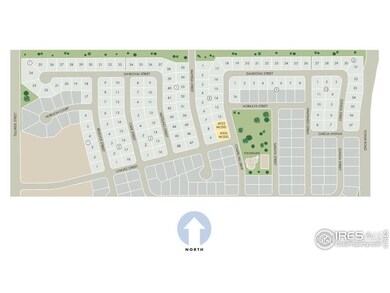 332 Cade St, Brighton, CO 80601 - photo 4