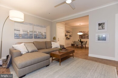 2706 Summerview Way unit 101, Annapolis, MD 21401 - photo 7