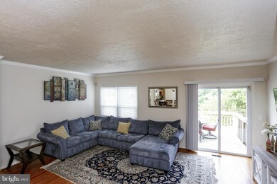 13428 Elevation Ln, Herndon, VA 20171 - photo 5