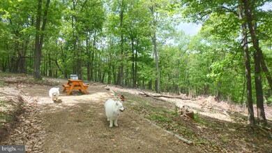 Lot 203 Hampshire Ridge, Romney, WV 26757 - photo 5