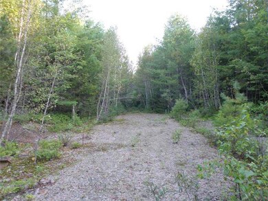 Land/Lot. Driveway heads to beaver pond