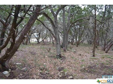 A0607BC Buggy Ride Rd, Temple, TX 76502 - photo 5