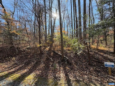 Parcel F Dulwich Dr, Amherst, VA 24521 - photo 6