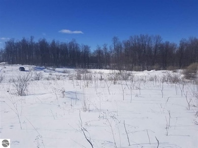 13507 S Bahia Vista Dr unit 16, Traverse City, MI 49684 - photo 4