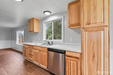 8826 183rd Ave SW, Rochester, WA 98579 - photo 6