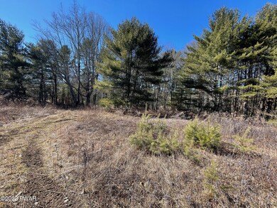 Lot 19 Mountain Springs Rd, Milford, PA 18337 - photo 2