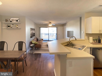 11741 Summerchase Cir unit 1741-D, Reston, VA 20194 - photo 2