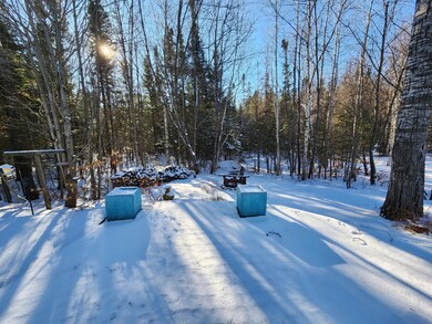 view from back door