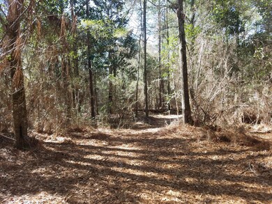 Walking Trail