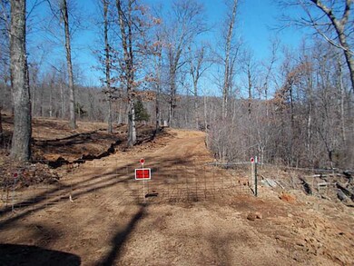 20 Acres Low Gap Rd, West Fork, AR 72774 - photo 2