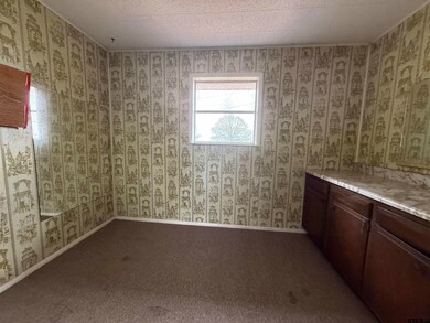 23205 County Road 2159, Troup, TX 75789 - photo 3