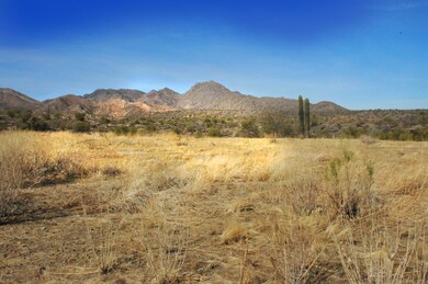 14352 E DESERT TORTOISE Trail, 30,