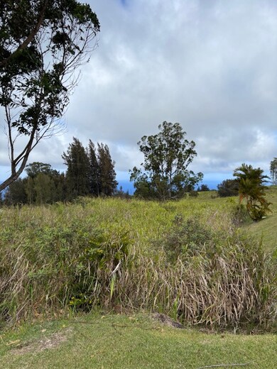 0 Palikekua St unit 722634, Honokaa, HI 96727 - photo 6