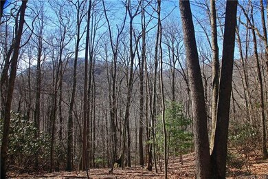 1464 Roaring Fork Rd, Burnsville, NC 28714 - photo 7