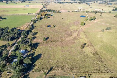 000 County Road 4331, Larue, TX 75770 - photo 2
