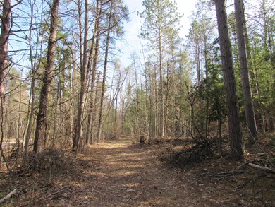 Main trail to river
