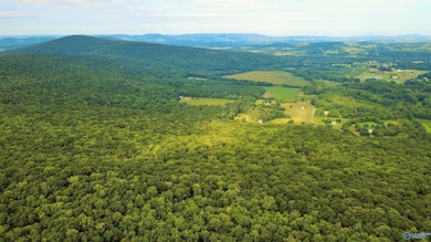 80 Kroff Rd, Gurley, AL 35748 - photo 3