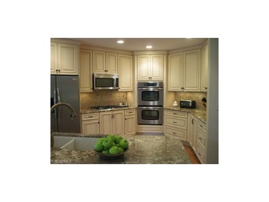 Top-of-the-line stainless steel appliances; granit
