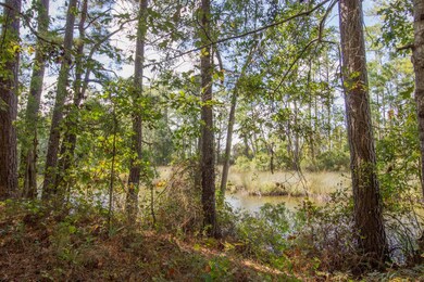 77 Wheat Patch Rd, Bath, NC 27810 - photo 4