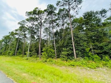 Tract 1 U S 319, Tifton, GA 31794 - photo 2
