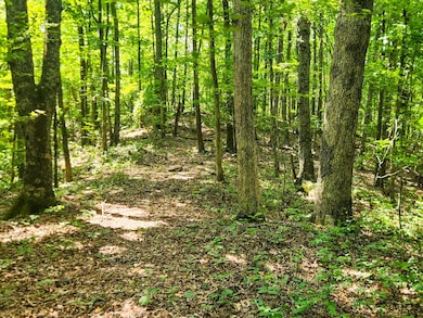 0 Alberta St, Oneida, TN 37841 - photo 7