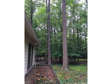 Large Wooded Backyard