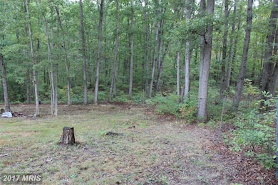 580 Mountainview Dr, Luray, VA 22835 - photo 3