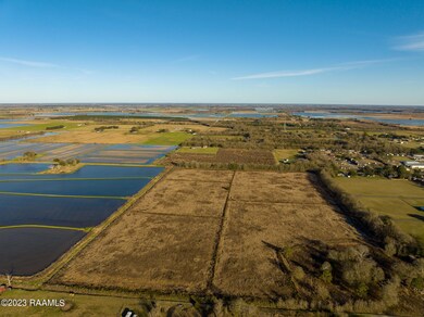 Tbd Napoleon St, Mamou, LA 70554 - photo 3