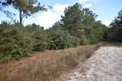 0 Bo Brown Rd unit 8177366, Trinity, TX 75862 - photo 4