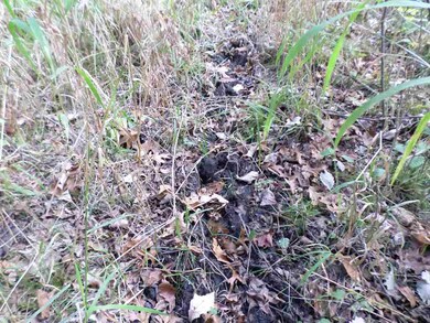 20 Ac 22nd St, Camp Douglas, WI 54618 - photo 2