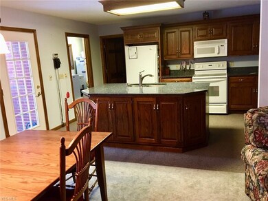 160 Beech St, Doylestown, OH 44230 - photo 6