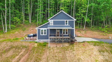 224 Long Range Ln, Leicester, NC 28748 - photo 6