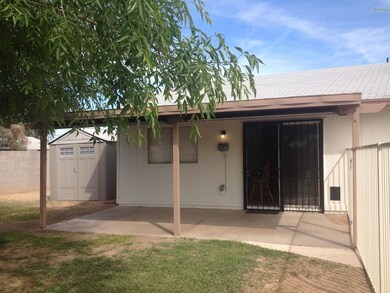 Covered Patio & Shed