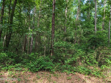 PXL_20240613_201202870