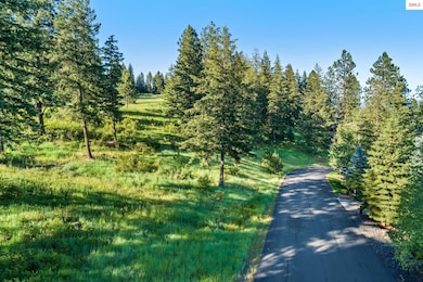 Lot 46 Onyx Cir, Coeur D'Alene, ID 83814 - photo 3