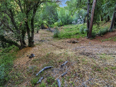 12 Montecito Rd, Woodside, CA 94062 - photo 4