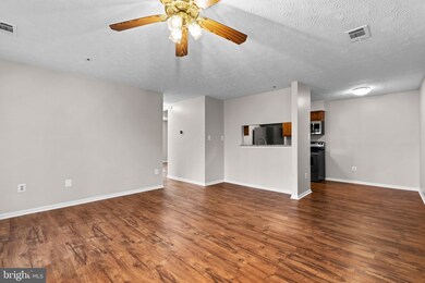6435 Green Field Rd unit 1202, Elkridge, MD 21075 - photo 5