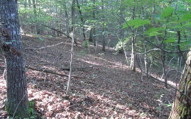 Additional View