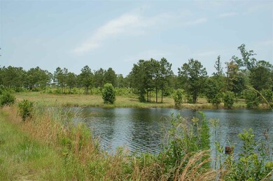 0 Bond Rd unit ACREAGE 281563, Cairo, GA 39828 - photo 4