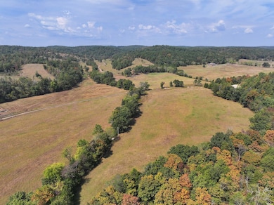 0 County Road 330 unit Lot WP001 24823610, Redford, MO 63665 - photo 7