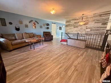 230 N Shore Dr, Petersburg, IL 62675 - photo 3