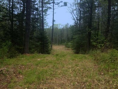 Exterior. Cleared Area for Driveway...