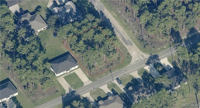 9506 N Travis Dr, Citrus Springs, FL 34434 - photo 3