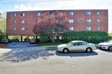 209 Riverview Ave unit 10, Auburndale, MA 02466 - photo 3