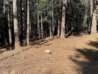 5771 Lupin Ln, Pollock Pines, CA 95726 - photo 3